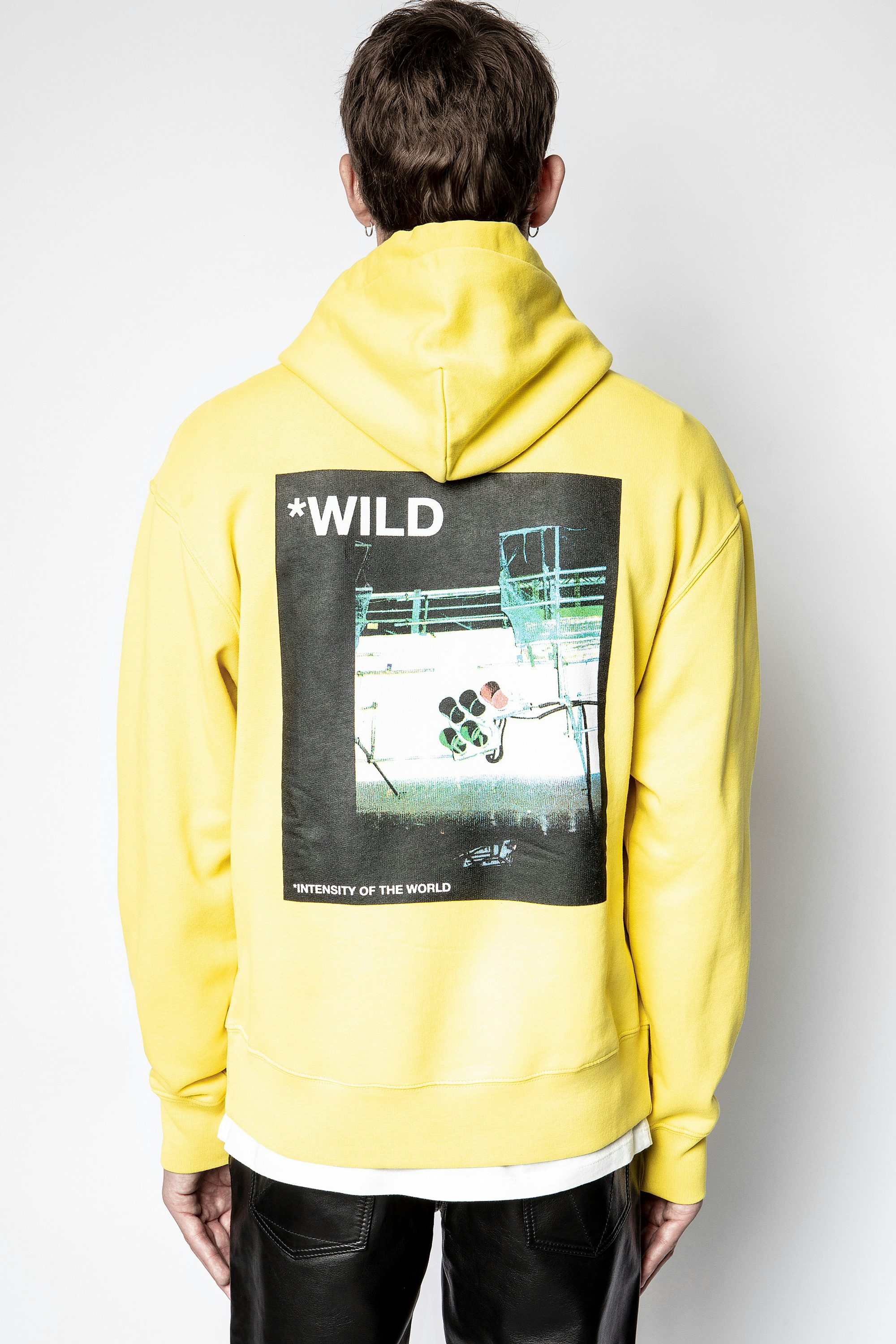 Sanchi Photoprint Wild Sweatshirt - Men's yellow sweatshirt.
